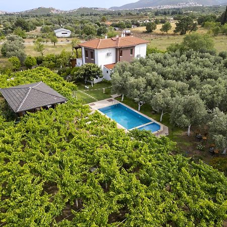 Grape Datca Hotel Kızlanköy Buitenkant foto