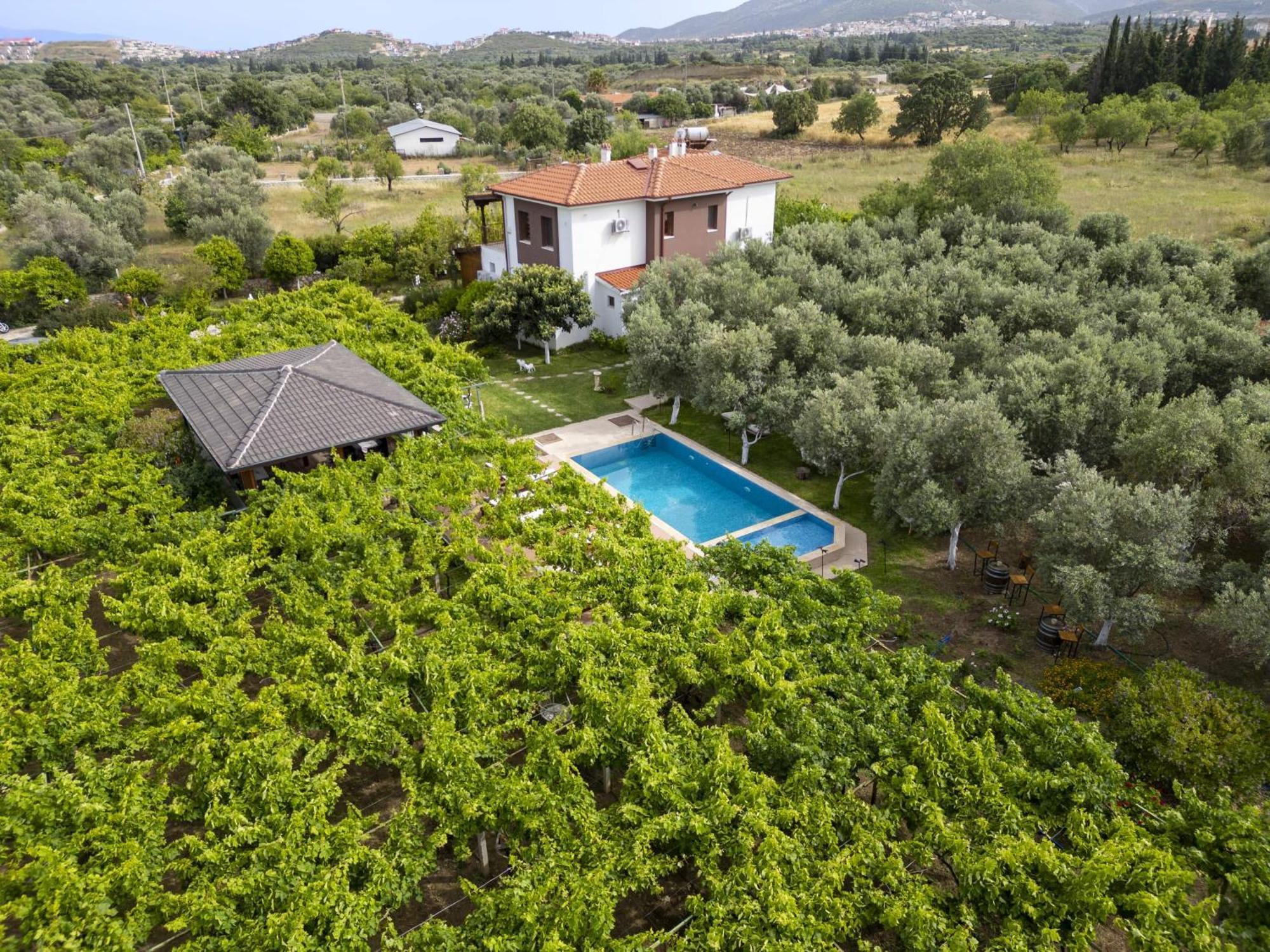 Grape Datca Hotel Kızlanköy Buitenkant foto