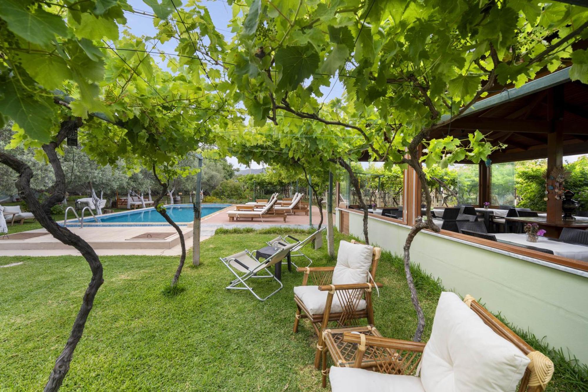 Grape Datca Hotel Kızlanköy Buitenkant foto